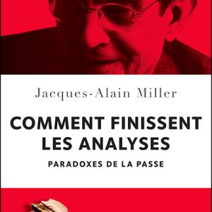 Couverture de Comment finissent les analyses